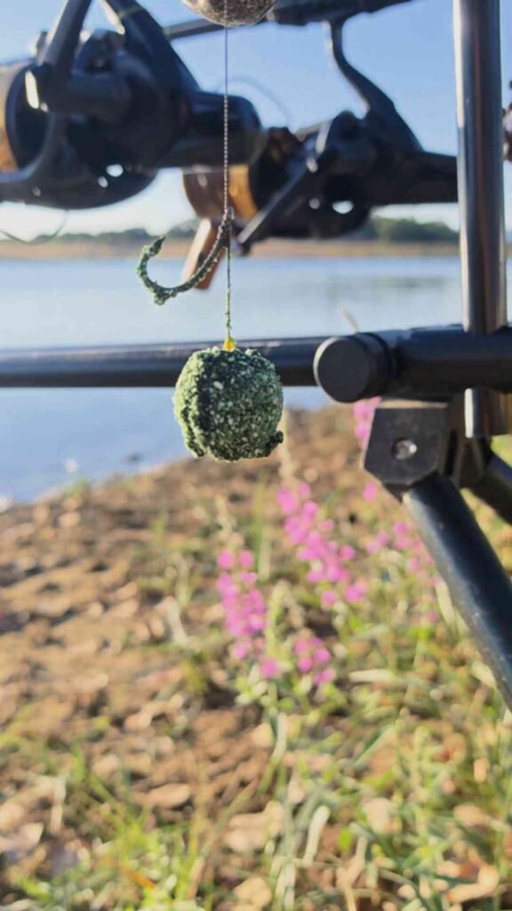 img 2025 08 31 165426272