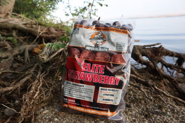 carptrack elite strawberry boilie