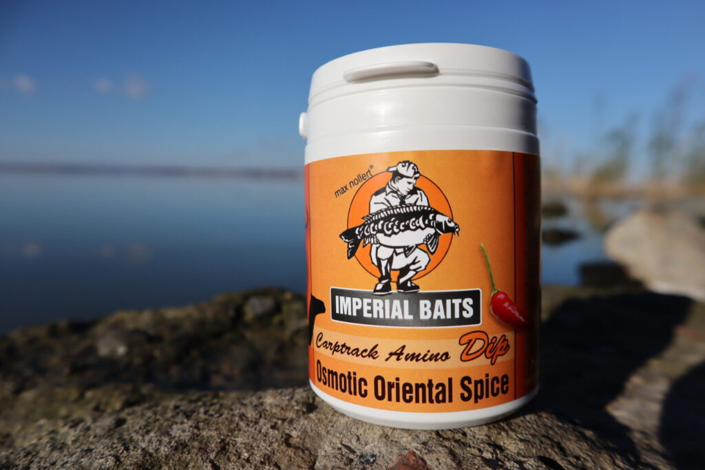 Osmotic Oriental Spice Dip